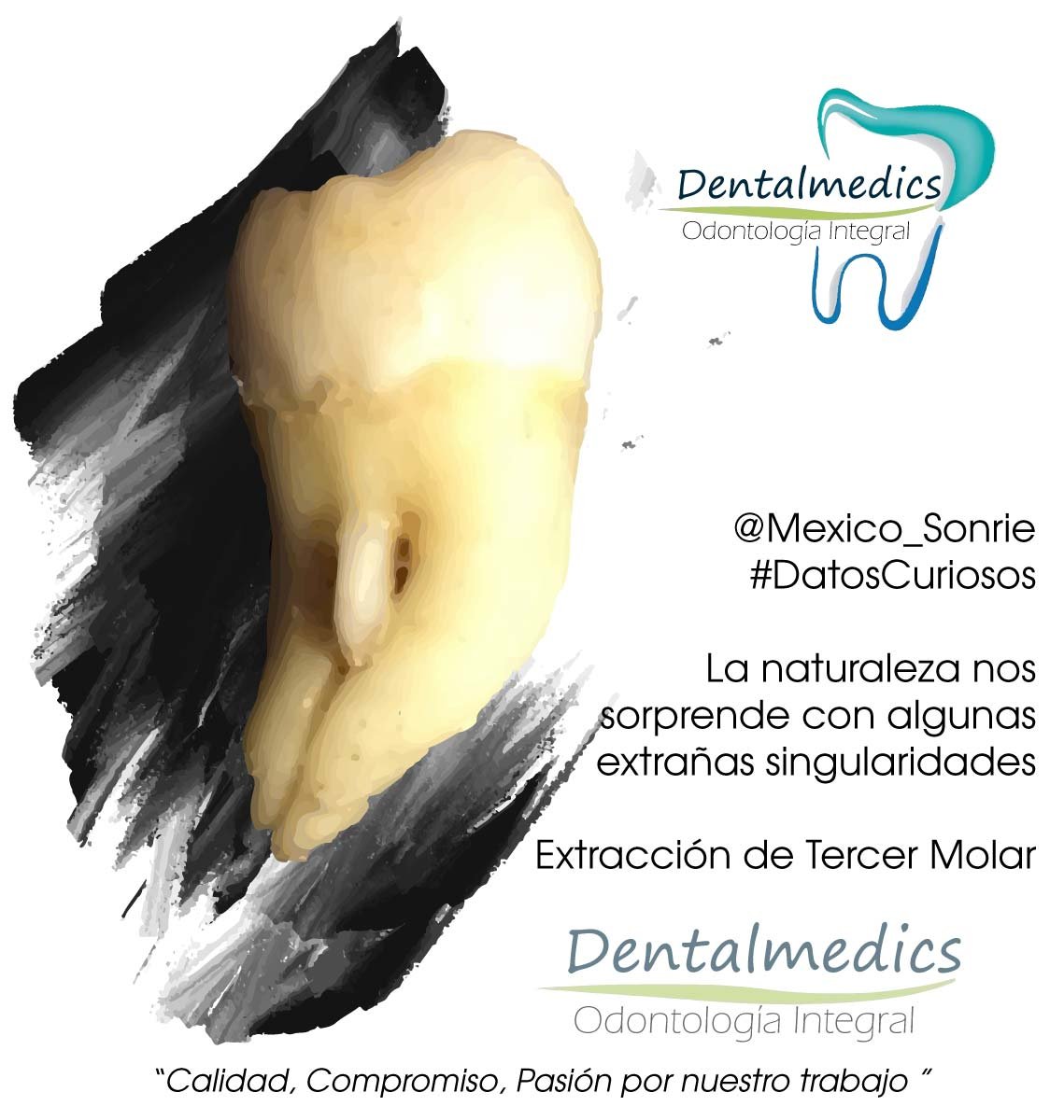 MRK Digital Dentalmedics